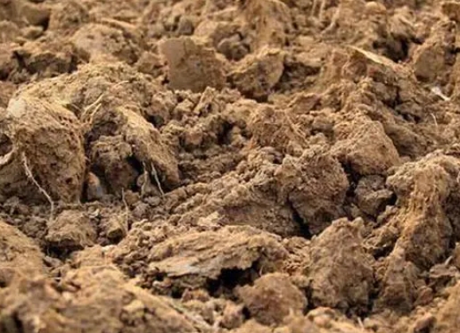 土壤酸化问题，你真的了解吗？