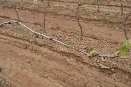 中国近30年，“土壤酸化”堪比过去1000年，究竟